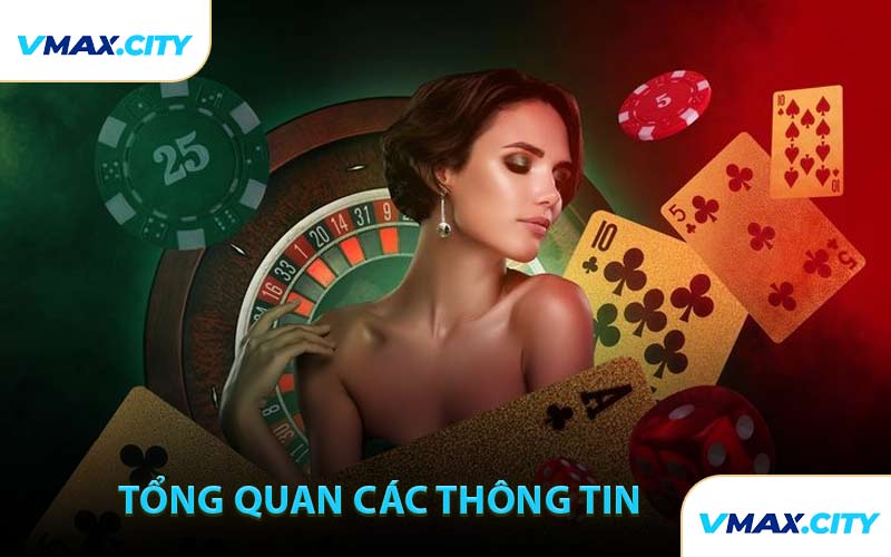 Tổng quan các thông tin